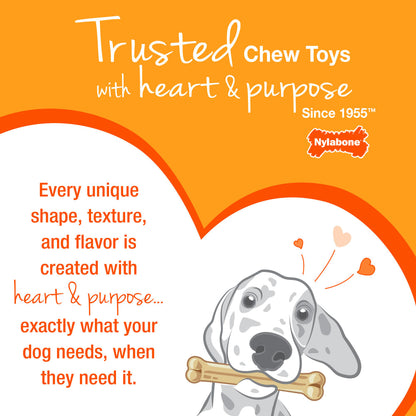 Nylabone Puppy Chew Freezer Dog Bone