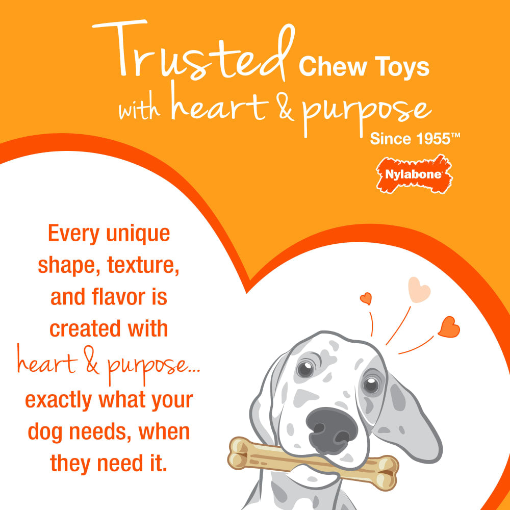 Advertisement for Nylabone chew toys with a dog holding a bone and text about heart and purpose.