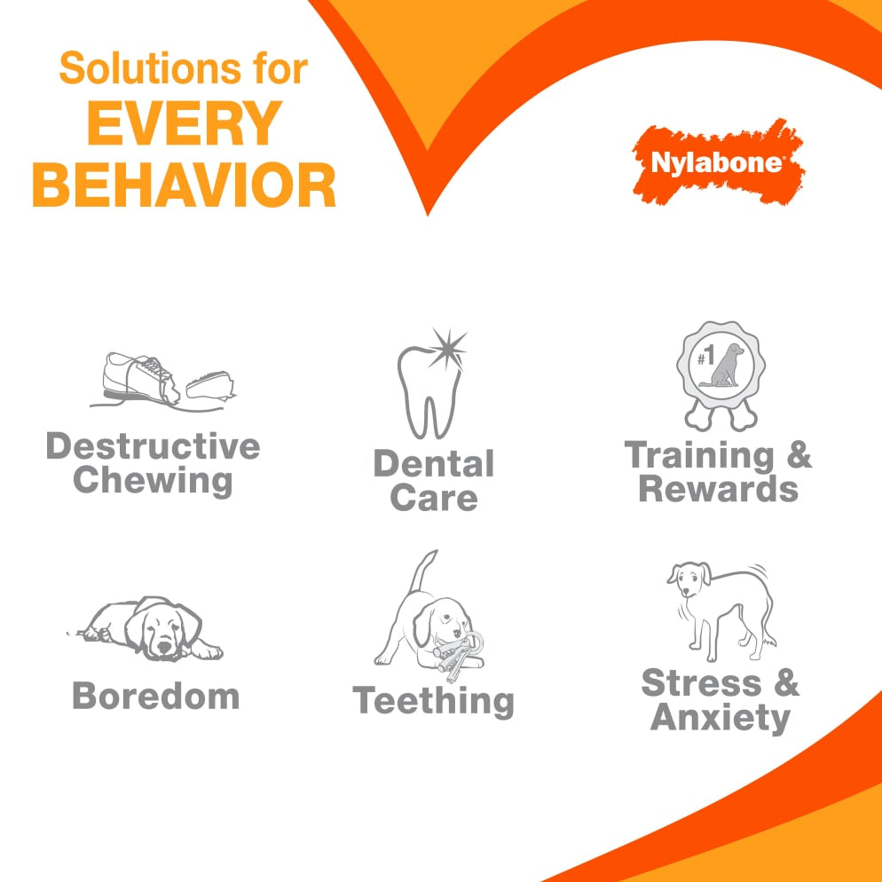 Nylabone product line for pet behavior solutions on a white background with orange accents.