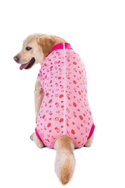 Recovery Suit Dog - Zip Up