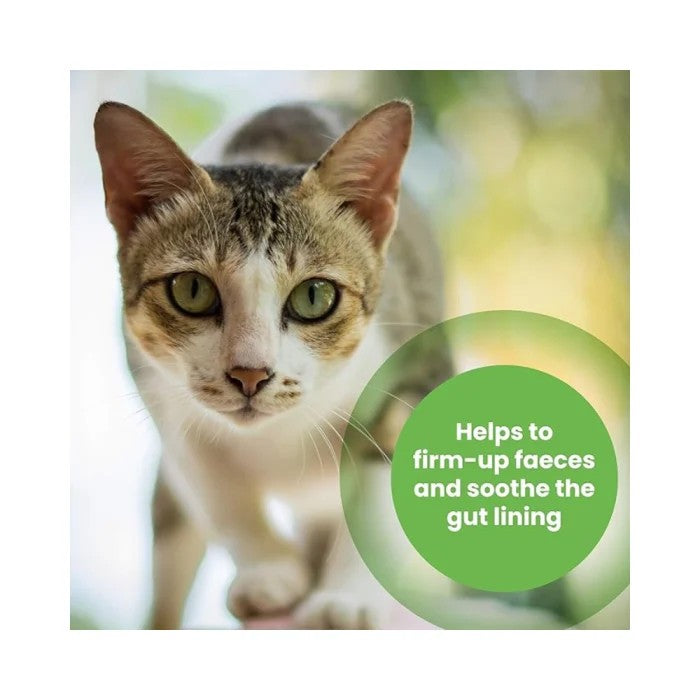 A close-up photo of a tabby and white cat with green eyes, with a green circular text bubble that reads 'Helps to firm-up faeces and soothe the gut lining' on a white background.