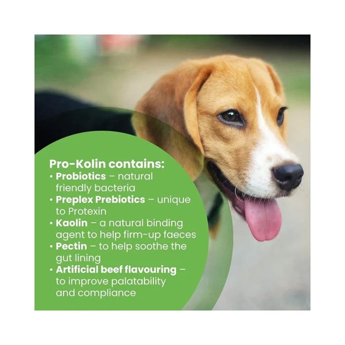 A promotional graphic for Pro-Kolin dog supplement, featuring a close-up photo of a brown and white beagle dog on the right, and a green text circle on the left detailing the ingredients and benefits of Pro-Kolin.