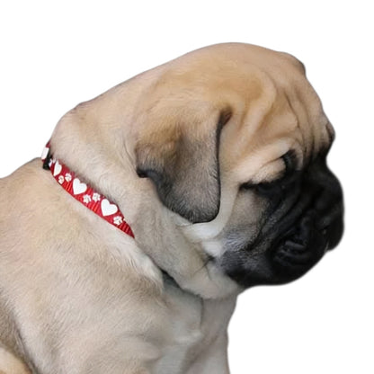 Puppy ID Collars & Leads - Hearts & Paws