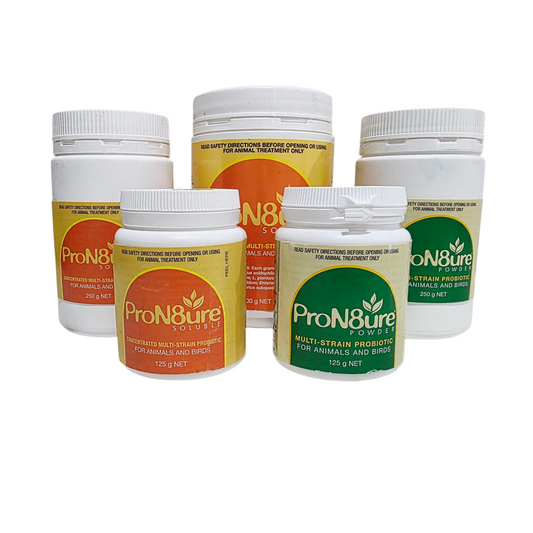 Pron8ure Probiotic Powder, Pron8ure Soluble & Pron8ure Liquid