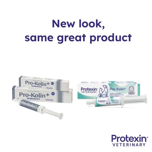 Pro-Kolin+ for Dogs & Cats - Gastrointestinal