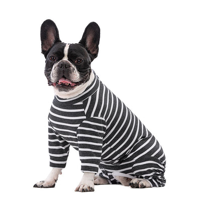 Dog sitting down wearing a black and white three quarter leg recovery suit on a white background 