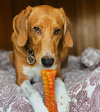 Nylabone Rubber Flavour Frenzy Pepperoni Pizza - Average Chewer