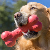 KONG Goodie Bone Red - Small or Large from
