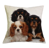 Cushion Covers - 100's of Breeds Available!