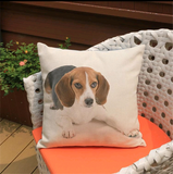 Cushion Covers - 100's of Breeds Available!