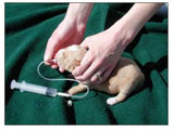 Enfit Feeding Tubes 5 to 10FG with 5mL Syringe. Additional Syringes FROM