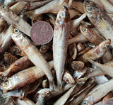 Dried Little Fish 50gm