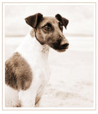 Greeting/Sympathy Cards Dogs - Many Designs!