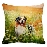 Cushion Covers - 100's of Breeds Available!