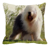 Cushion Covers - 100's of Breeds Available!