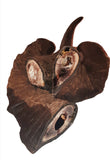 Goat Horns 100% Natural - Small, Large or XL from