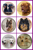 Stickers -- BREEDS D to L --Various Sizes from