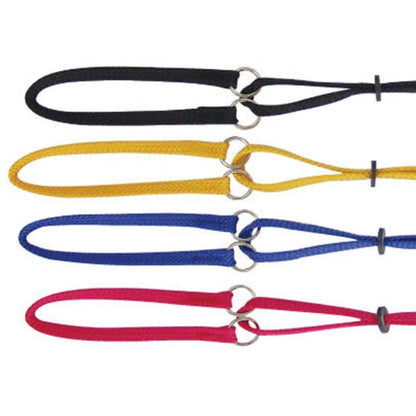 A collection of flat nylon martingale show leads for dogs in various colors including black, yellow, red and blue, each featuring a rubber slide lock.