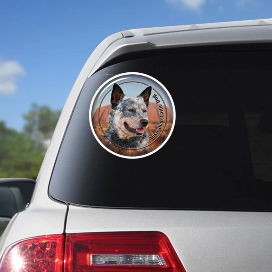 Car sticker on a car