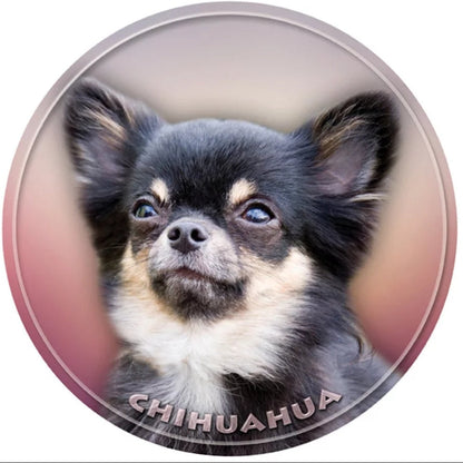 Chihuahua Decal Sticker on white background