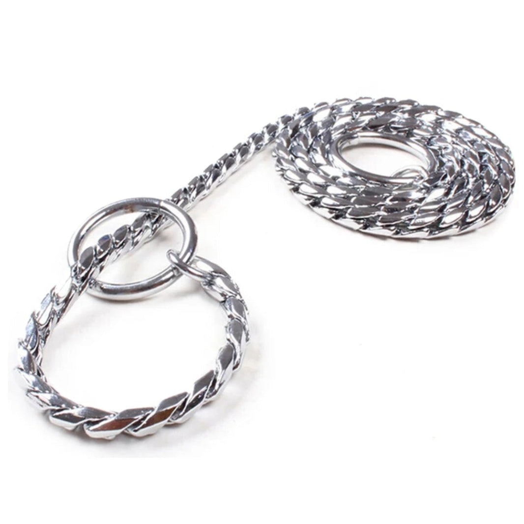 Show Leads & Chains for Dogs | Oz Fur Kids – Oz Fur Kids Whelping Supplies