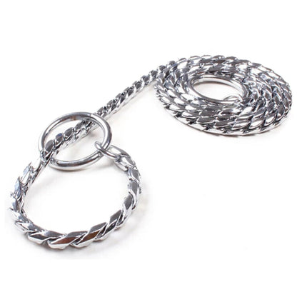 A chrome plated snake chain for dogs.