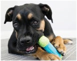 KONG Core Strength Bone