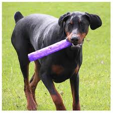 KONG Squeezz Crackle Stick