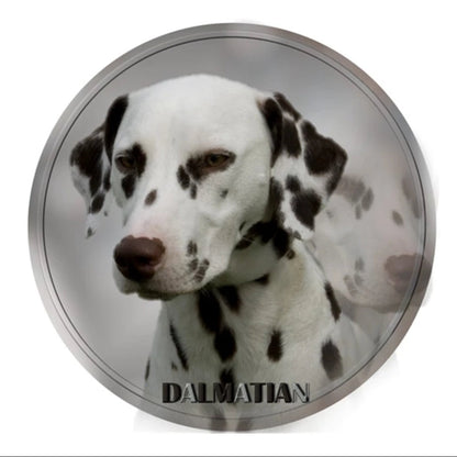 Dalmation Sticker on White background