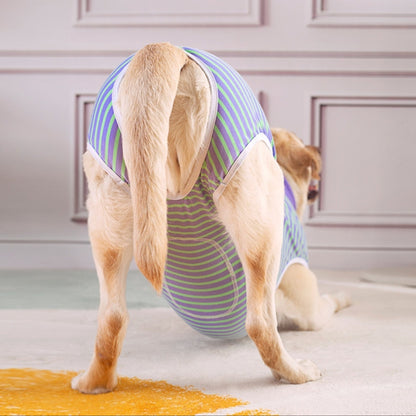 Dog wearing a striped surgical recovery suit standing on a carpeted floor.