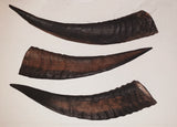 Goat Horns 100% Natural - Small, Large or XL from