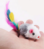 Colourful Cat Mouse Mice with Feathers