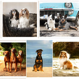 Greeting/Sympathy Cards Dogs - Many Designs!