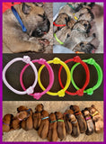 Adjustable Paracord Puppy ID Collars - XS, SM, MED, LG & XL