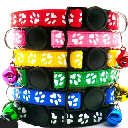 Paws Break Away Collars on a white background
