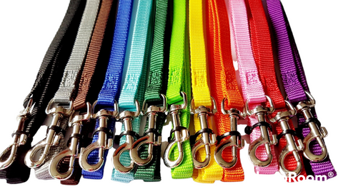 Coloured puppy collars hot sale