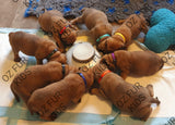 SMALL/MEDIUM OR LARGE Stainless Steel Puppy Feeding Pan Bowl. FREE SHIPPING (Australia only)