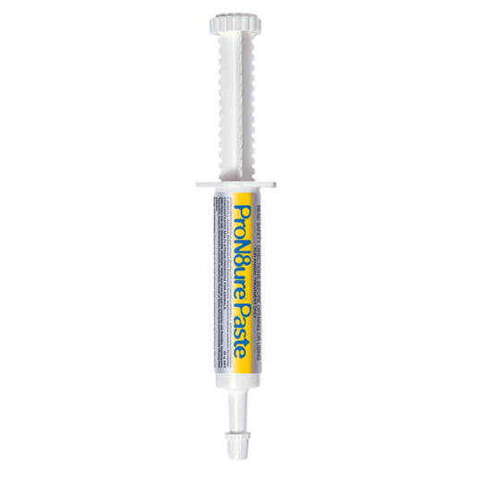 Pron8ure Probiotic Paste on a white background