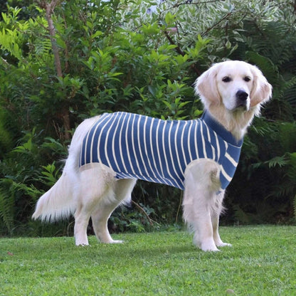 Dog wearing a blue and white striped recovery suit standing on grass with greenery in the background