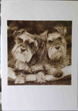 Greeting/Sympathy Cards Dogs - Many Designs!