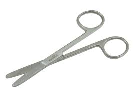 Scissors Straight Stainless Steel Blunt/Blunt 13 cm