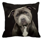 Cushion Covers - 100's of Breeds Available!