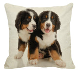 Cushion Covers - 100's of Breeds Available!