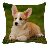 Cushion Covers - 100's of Breeds Available!