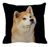 Cushion Covers - 100's of Breeds Available!