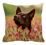 Cushion Covers - 100's of Breeds Available!