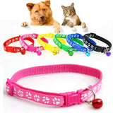 Paw Print Puppy Collars Set of Six