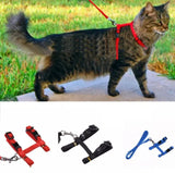 Cat Harness