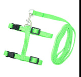 Cat Harness