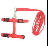 Cat Harness